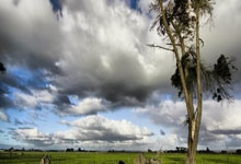 天涯论坛娱乐圈那些事：聊聊明星八卦趣闻