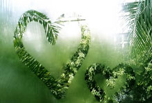 天涯论坛的爱情故事