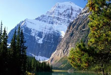 天涯论坛小月月事件：一场被围观的网络狂欢