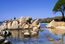 天涯论坛情感天地事件，真的是八卦の心情 unable to handle！